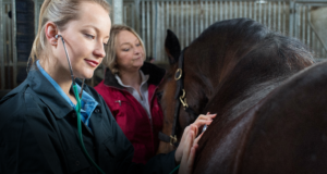 Veterinary Services - Large Animals