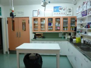 Veterinary Services - Examination room