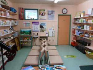 Veterinary Services - Waiting room